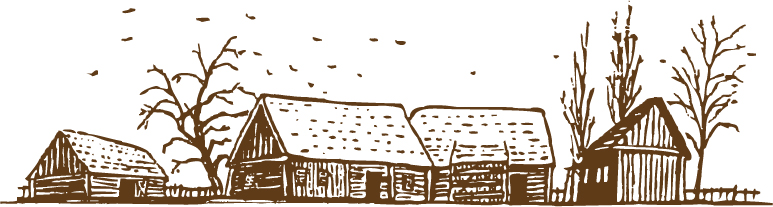 Erlichthofsiedlung Rietschen Zeichnung braun RGB