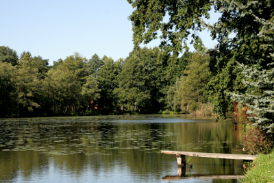 Heide- & Teichlandschaft