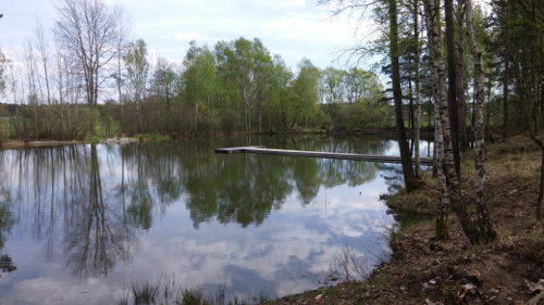 Vogelteich in Neuliebel Vogelteich in Neuliebel